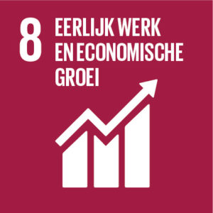 SDG 08