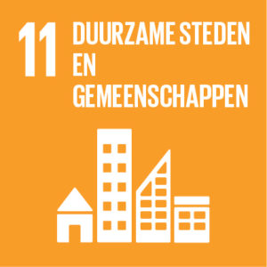 SDG 11