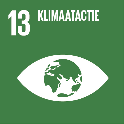 SDG 13