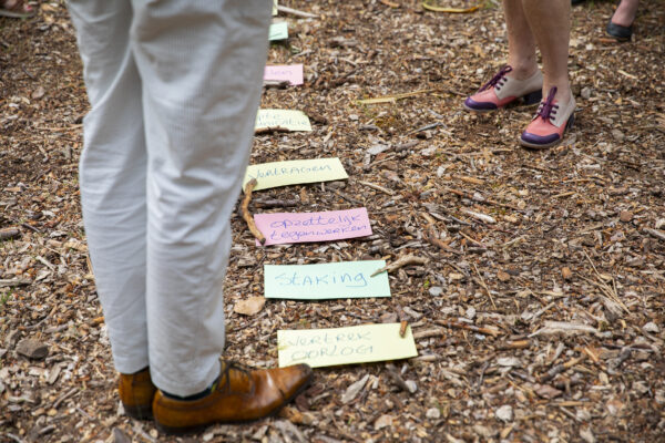 Teambuilding training OR